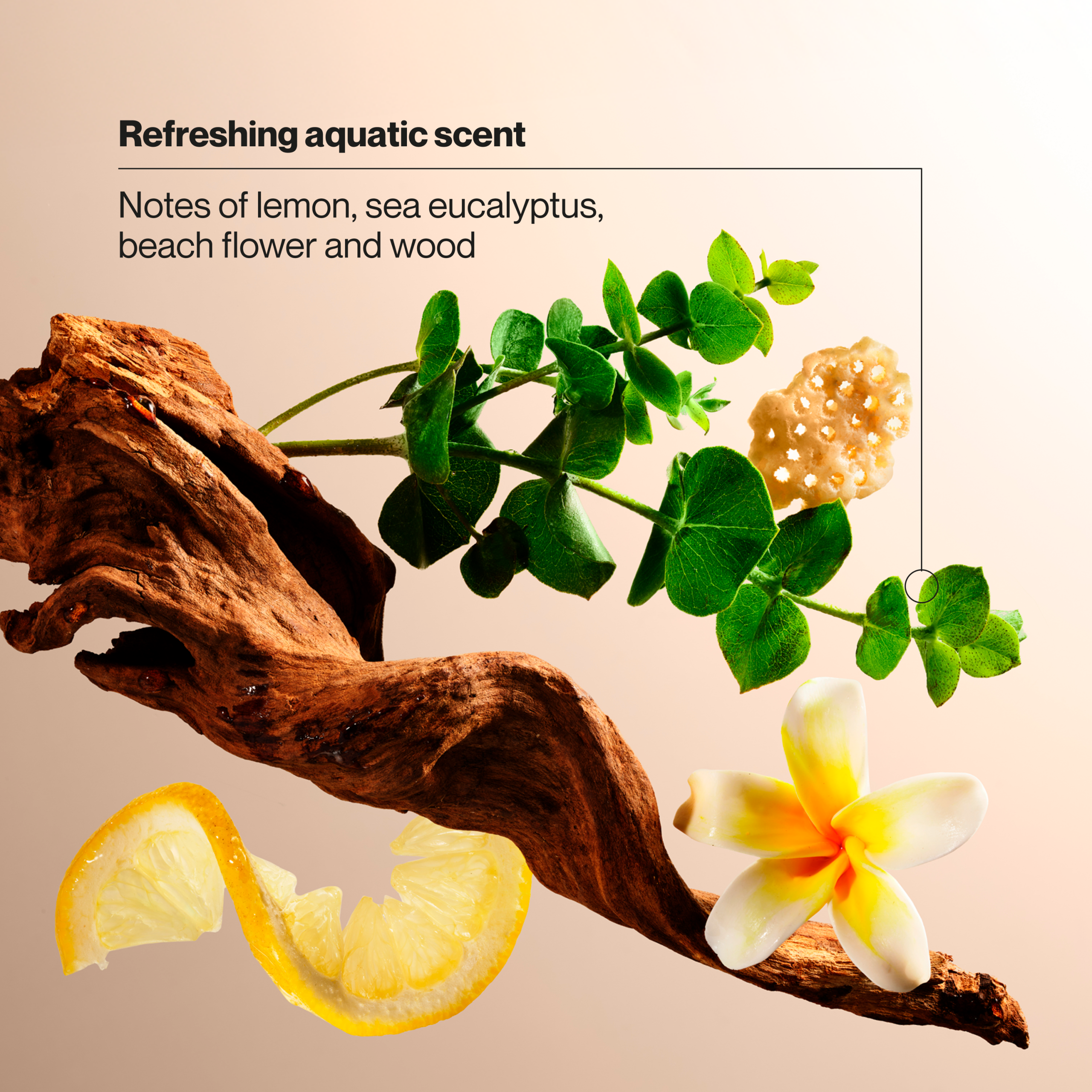 Sea Minerals & Aloe Antibacterial Hand Wash - Image 4