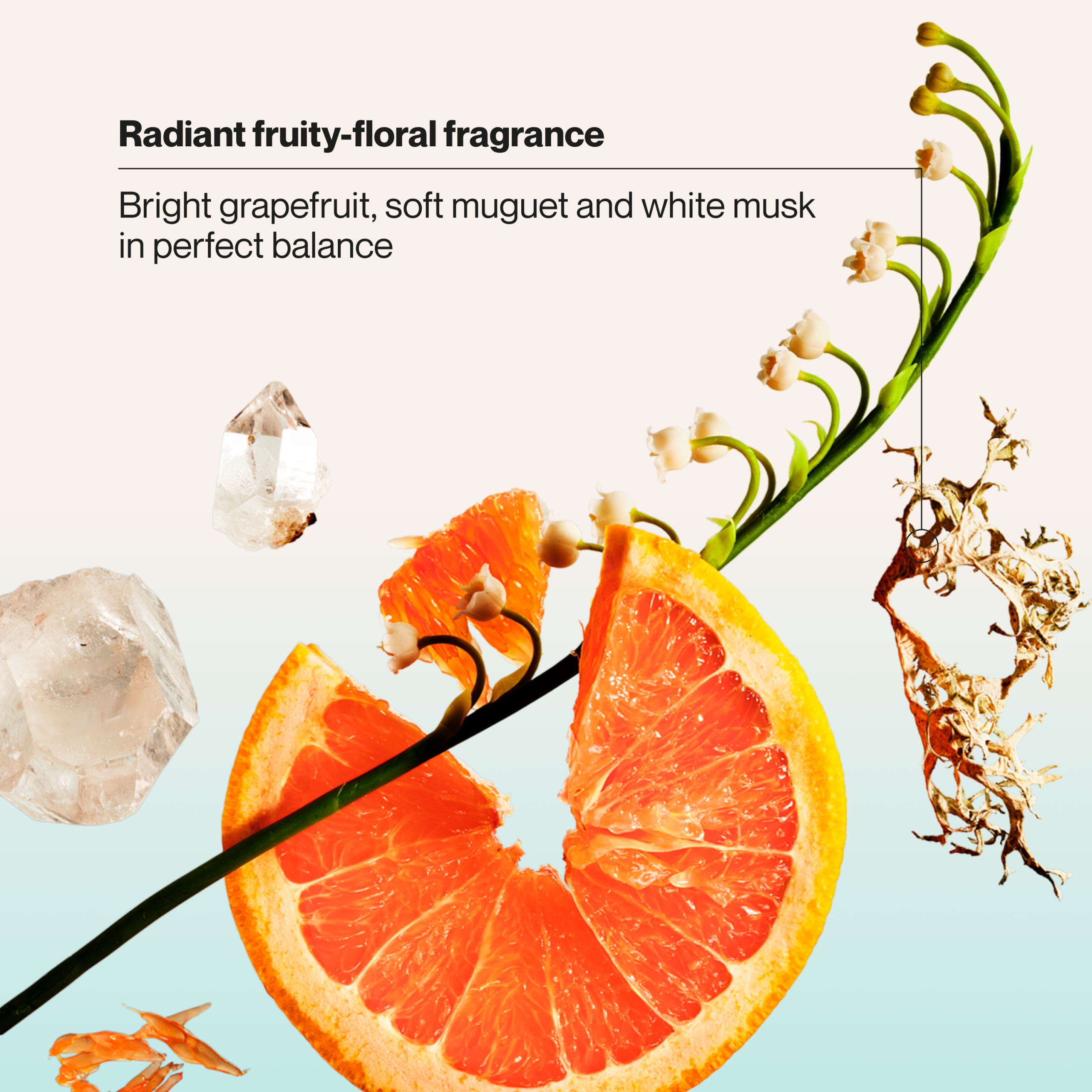 Moisture Repair Sulfate-Free Deep Moisture Mask - Image 4